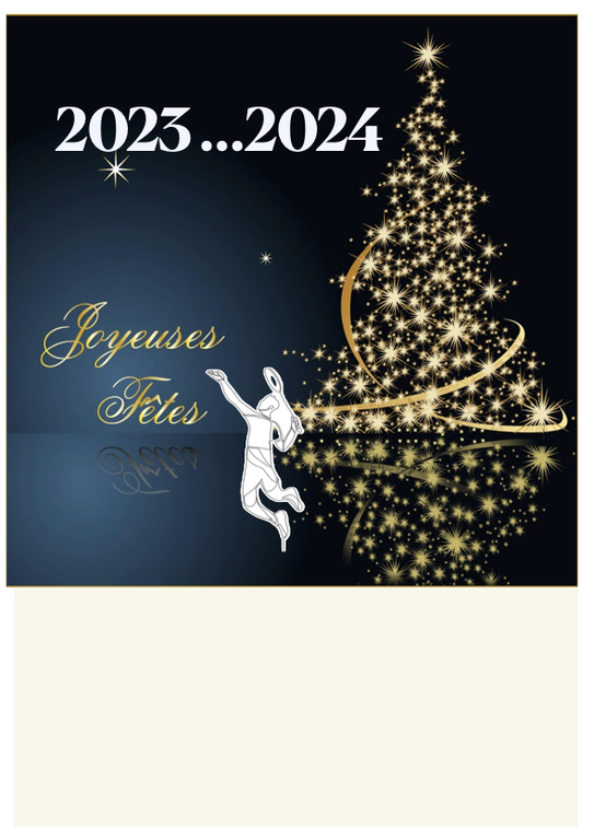 Ligue] Joyeuses Fêtes de fin d'année – Vœux 2024 – TIR AQUITAINE